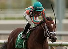 Conquest Typhoon will face Flashaway and 6 others in the Grey Stakes.