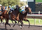 Avanzare won the Washington Park Handicap on Aug. 30.
