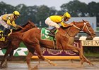 Two-time Horse of the Year Curlin