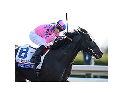 Dance with Fate <br><a target="blank"http://photos.bloodhorse.com/AtTheRaces-1/At-the-Races-2014/35724761_2vdnSX#!i=3175856870&k=T3TGB22">Order This Photo</a>
