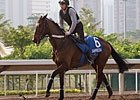 Hong Kong Interview - Rod Collet Hong Kong Interview - Rod Collet