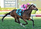 Room Service wins the Herecomesthebride Chimes Feb. 2, 2014.
<br><a target="blank" href="http://photos.bloodhorse.com/AtTheRaces-1/At-the-Races-2014/35724761_2vdnSX#!i=3102591775&k=Q3VcbHH">Order This Photo</a>