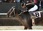 Street Story and Ricardo Santana Jr. take the Dixie Belle Stakes on opening day at Oaklawn.