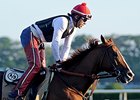 California Chrome is attempting to become the first California-bred Triple Crown winner.<br><a target="blank" href="http://photos.bloodhorse.com/TripleCrown/2014-Triple-Crown/Belmont-Stakes-146/i-QV5j88Q">Order This Photo</a>