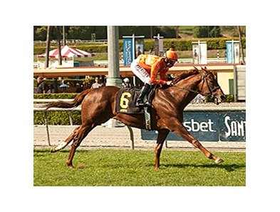 Tom's Tribute wins the Thunder Road Stakes.