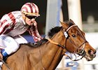 Cirrus des Aigles