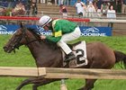 Forte de Marmi won the 2013 Singspiel Stakes.