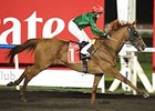 Prince Bishop Makes Strong Meydan Statement Prince Bishop Makes Strong Meydan Statement