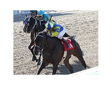Fordubai in the Louisiana Handicap.