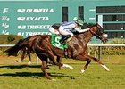 Cloud Scapes outfights Wholelottashakin to win the Endeavour Stakes.