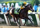 Palace Malice Injured, Retired Palace Malice Injured, Retired