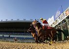 Woodbine is located in Ontario.
