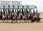 Arapahoe Park Racing