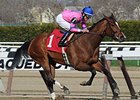 La Verdad won the 2014 Distaff Handicap. <br><a target="blank" href="http://photos.bloodhorse.com/AtTheRaces-1/At-the-Races-2014/35724761_2vdnSX#!i=3189826263&k=qPKzsmG">Order This Photo</a>