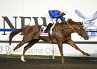 Hunter's Light rolls to victory in the Al Maktoum Challenge Round II.