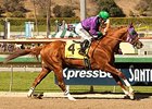 California Chrome Shines Again in San Felipe California Chrome Shines Again in San Felipe