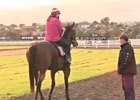 Cox Plate Preview Day: Trainer John Sadler Cox Plate Preview Day: Trainer John Sadler