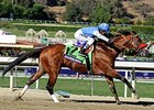Goldencents won the 2013 Breeders' Cup Dirt Mile.
<br><a target="blank" href="http://photos.bloodhorse.com/BreedersCup/2013-Breeders-Cup/Dirt-Mile/33149801_zx584H#!i=2876858630&k=QNfCRxF">Order This Photo</a>