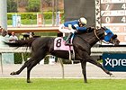Bright Thought wins the John Henry Turf Championship.