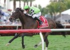 Lochte has a two-race win streak going.<br><a target="blank" href="http://photos.bloodhorse.com/AtTheRaces-1/At-the-Races-2014/i-9cqhWfs">Order This Photo</a>
