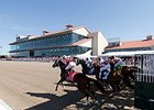 Racing at the Fair Grounds