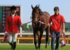 Lord Kanaloa is JRA Horse of the Year Lord Kanaloa is JRA Horse of the Year