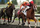 Calgary Cat winning last year's Bold Venture.