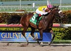 Grace Hall ships to Southern California to contest the Vanity Stakes.