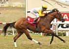 Clenor makes her second start of 2014 in the Senorita Stakes.