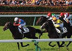 One and Only Bests Favorite in Japanese Derby One and Only Bests Favorite in Japanese Derby