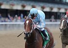 Cluster Of Stars
<br><a target="blank" href="http://photos.bloodhorse.com/AtTheRaces-1/at-the-races-2013/27257665_QgCqdh#!i=2844775521&k=ZpvJ933">Order This Photo</a>