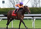 Medal Count won the 2014 Transylvania Stakes. <br><a target="blank" href="http://photos.bloodhorse.com/AtTheRaces-1/At-the-Races-2014/35724761_2vdnSX#!i=3160493410&k=WnhK4jp">Order This Photo</a>