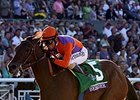 Beholder <br><a target="blank" href="http://photos.bloodhorse.com/BreedersCup/2013-Breeders-Cup/Distaff/33149827_x5ZZPc#!i=2876557273&k=j9QhGr3">Order This Photo</a>