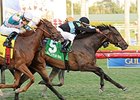 Premier Steps won the 2013 Sweetest Chant Stakes. <br><a target="blank"http://photos.bloodhorse.com/AtTheRaces-1/At-the-races-2013/i-jTw5vZZ">Order This Photo</a>