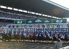 Belmont Stakes Starting Gate and Grand Stand