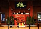 Hip 53 was the JRHA Select Sale topper.
