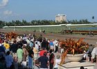 Gulfstream Park
