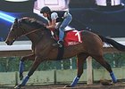 Cirrus des Aigles