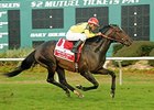 Guy's Reward won the 2014 Tampa Bay Stakes.