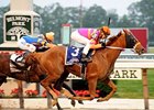 2011 Belmont Stakes winner Ruler On Ice