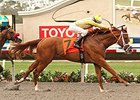 Best Pal winner Skyway returns in the Del Mar Futurity.