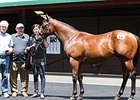 Fastnet Rock Rules Market at Karaka Fastnet Rock Rules Market at Karaka