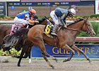 Gamay Noir upsets the Rampart at Gulfstream.<br><a target="blank" href="http://photos.bloodhorse.com/AtTheRaces-1/At-the-Races-2014/35724761_2vdnSX#!i=3148827368&k=p9L8vJq">Order This Photo</a>