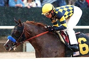 Super Ninety Nine, Den's Legacy: No KY Derby Super Ninety Nine, Den's Legacy: No KY Derby