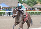 Sweet Whiskey takes control in the Old Hat Stakes.<br><a target="blank" href="http://photos.bloodhorse.com/AtTheRaces-1/At-the-Races-2014/35724761_2vdnSX#!i=3005304607&k=Lr3q2g3">Order This Photo</a>