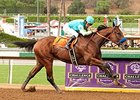 American Pharoah cruises to victory in the FrontRunner Stakes.