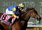Chriselliam<br><a target="blank" href="http://photos.bloodhorse.com/BreedersCup/2013-Breeders-Cup/Juvenile-Fillies-Turf/33149817_jvHmZP#!i=2876862080&k=nCXNMgc">Order This Photo</a>