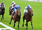 Al Kazeem (right) has returned to training.<br><a target="blank" href="http://photos.bloodhorse.com/AtTheRaces-1/at-the-races-2013/27257665_QgCqdh#!i=2584605387&k=LH58DH8">Order This Photo</a>
