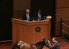 Unbridled's Song Colt Brings $400,000 at F-T Unbridled's Song Colt Brings $400,000 at F-T