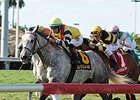 Inimitable Romanee Gets Gulfstream Distance Inimitable Romanee Gets Gulfstream Distance